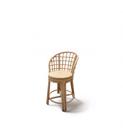 SL-CBS-7165